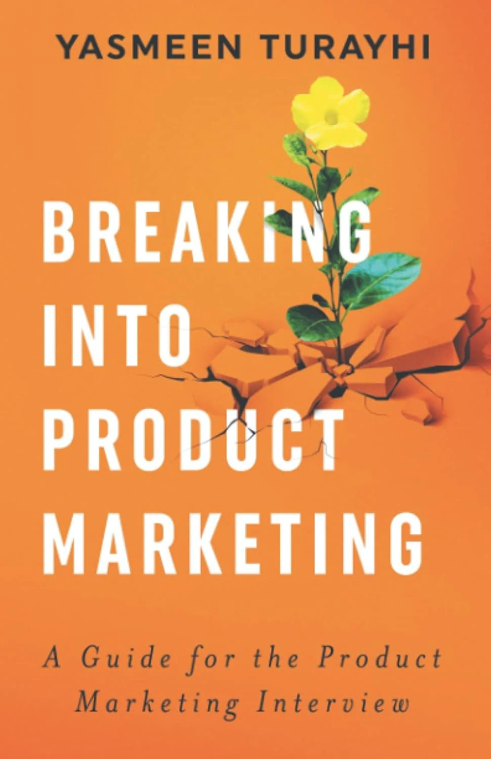 Breaking Into Product Marketing cover